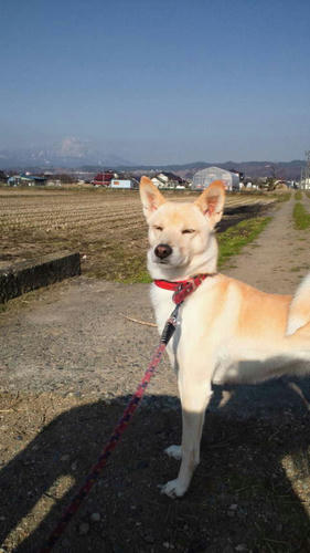 2010040415480000.jpg