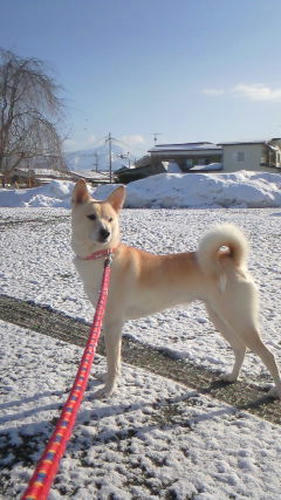 201103120754000.jpg