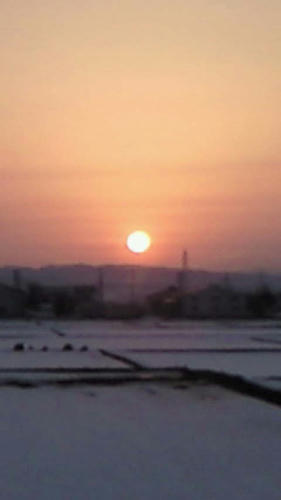 201103131730000.jpg