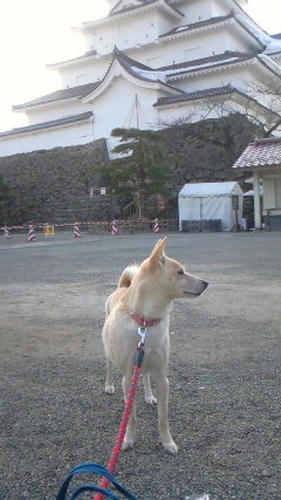 201103131608000.jpg