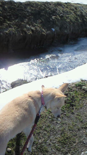201103190821001.jpg