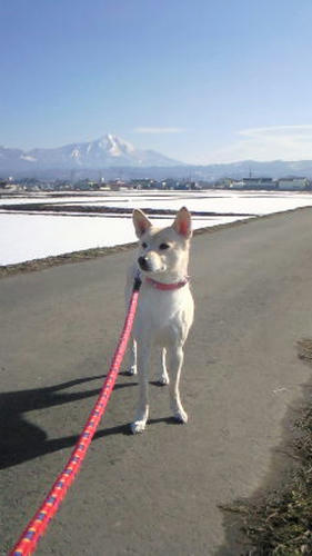 201103190824000.jpg