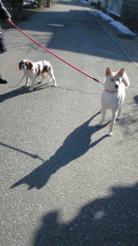 201103190842000.jpg