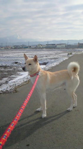 201103240739000.jpg