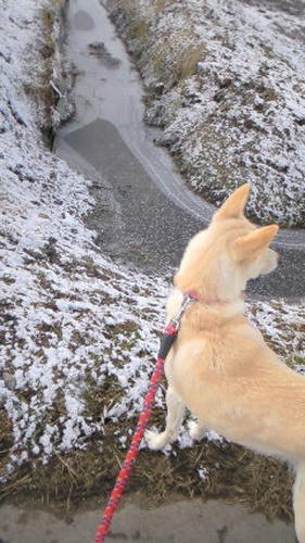201103240741000.jpg