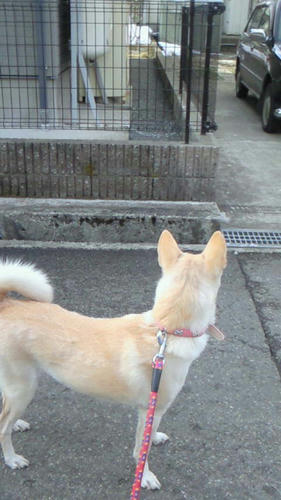 201103240751000.jpg