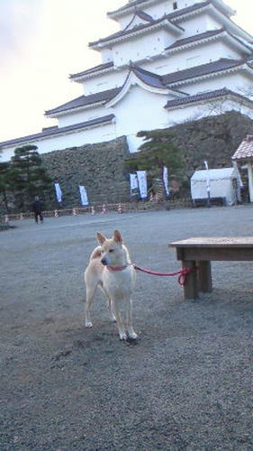 201103271639001.jpg