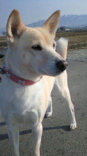 201103290743000.jpg