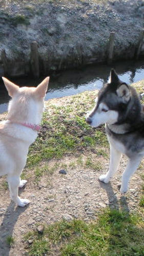 201103290746000.jpg