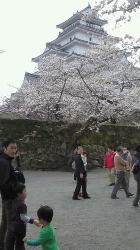NEC_0447.JPG