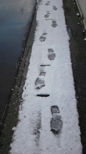 NEC_0073.JPG