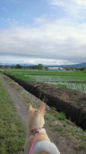NEC_0078.JPG