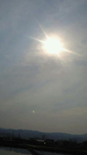 NEC_0075.JPG