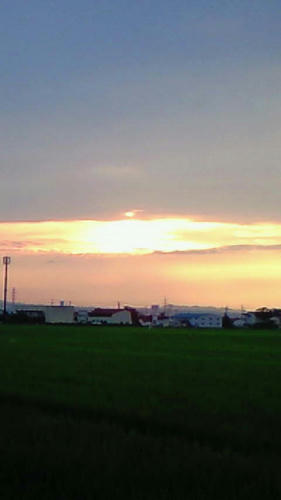 NEC_0103.JPG