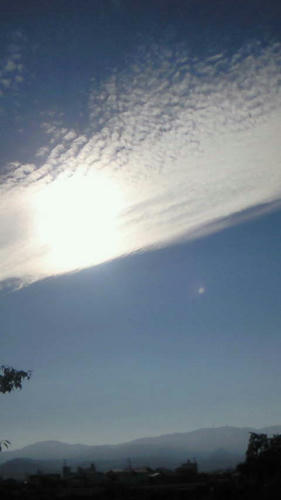 NEC_0130.JPG