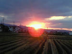 NEC_0144.JPG