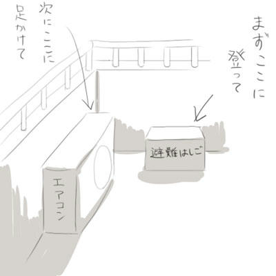 hibi50.jpg