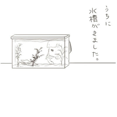 hibi82.jpg
