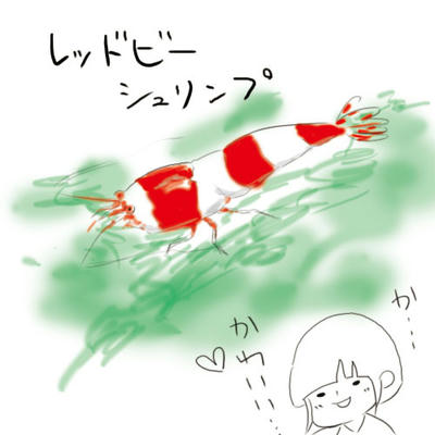 hibi85.jpg