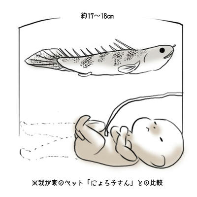 hibi163.jpg