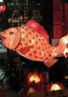 魚