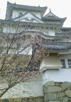 姫路城2