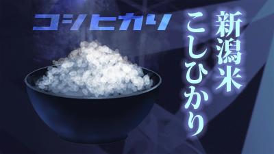 koshihikari.jpg