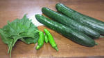 家庭菜園の野菜たち