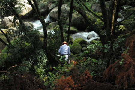 20100707_1.jpg