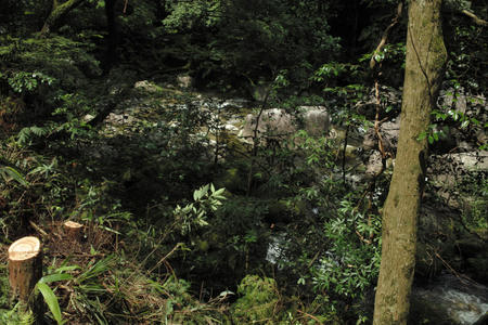20100707_2.jpg