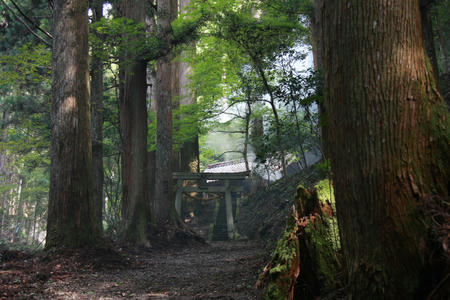 omiya.jpg