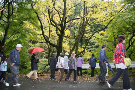 20101031_6.jpg