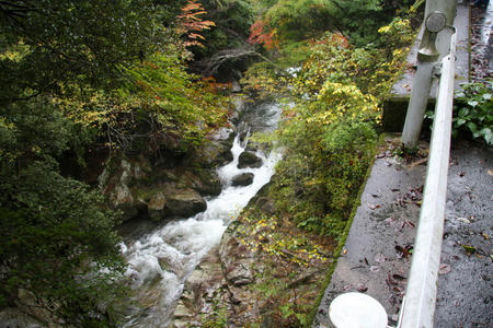 20101031_7.jpg