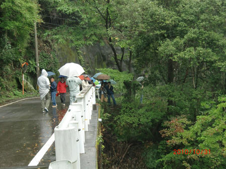 20101031_8.jpg