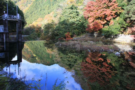 20101116_1.jpg