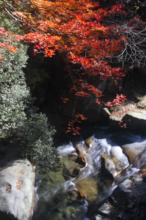 20101121_2.jpg