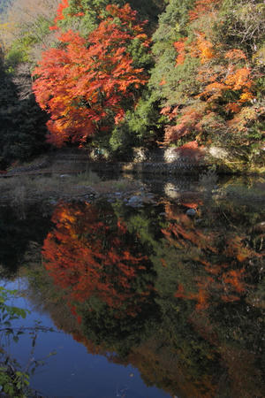 20101121_4.jpg