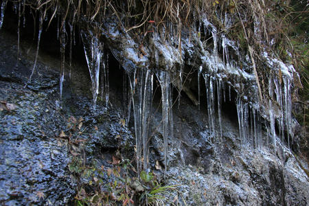 20101228.jpg