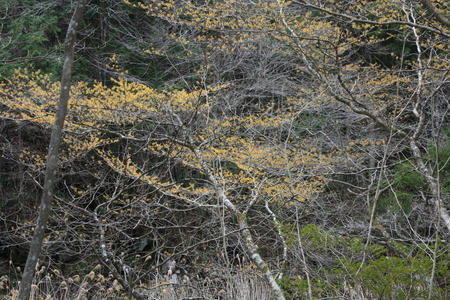 20110328_1.jpg
