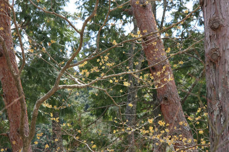 20110328_2.jpg