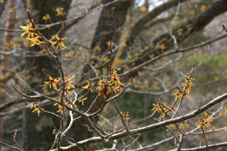 20110328_3.jpg