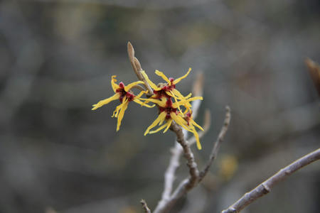20110328_4.jpg