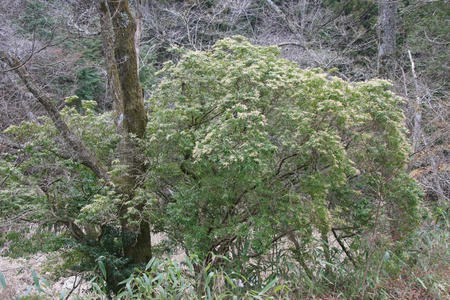 20110328_5.jpg