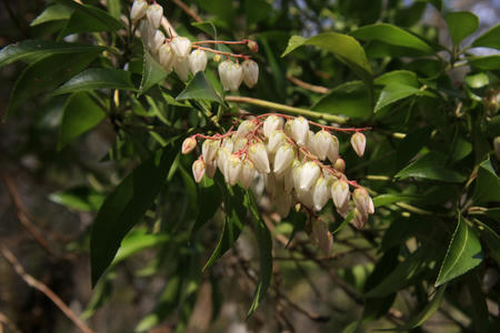 20110328_6.jpg