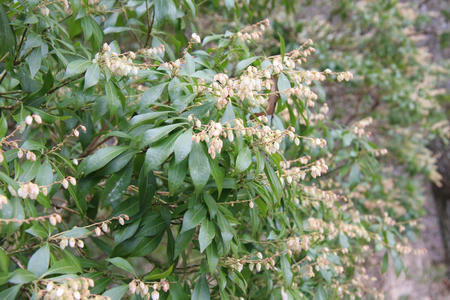 20110328_7.jpg