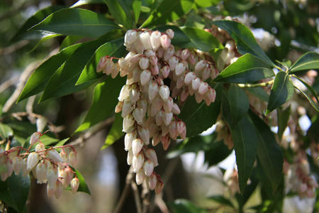 20110328_8.jpg