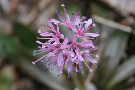 20110331_1.jpg