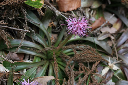 20110331_2.jpg