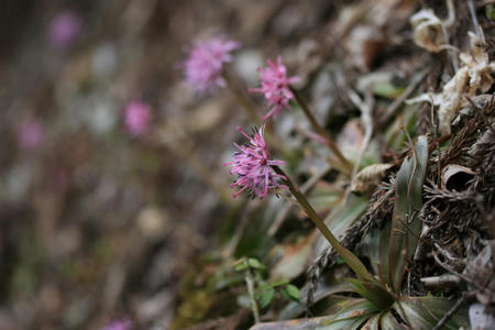 20110331_3.jpg