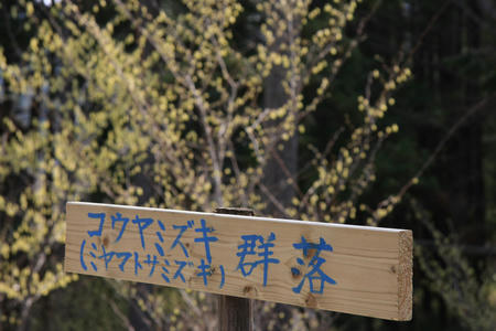 20110411_1.jpg